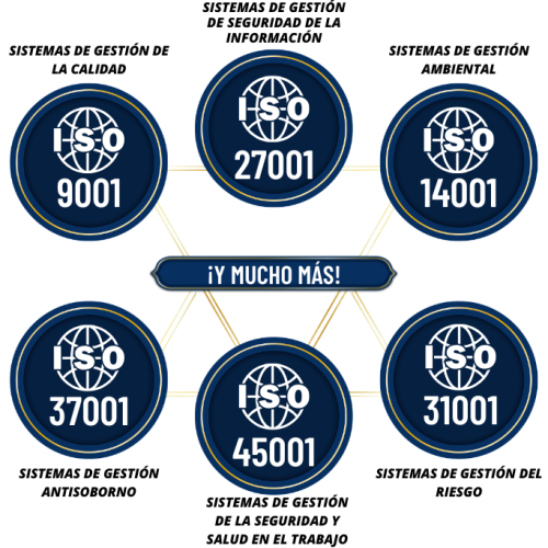 _Seccion 1 - Inicio 1